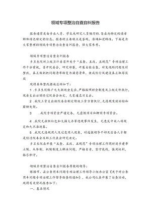 领域专项整治自查自纠报告.docx