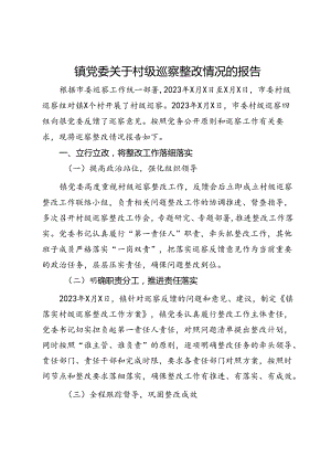 镇党委关于村级巡察整改情况的报告.docx