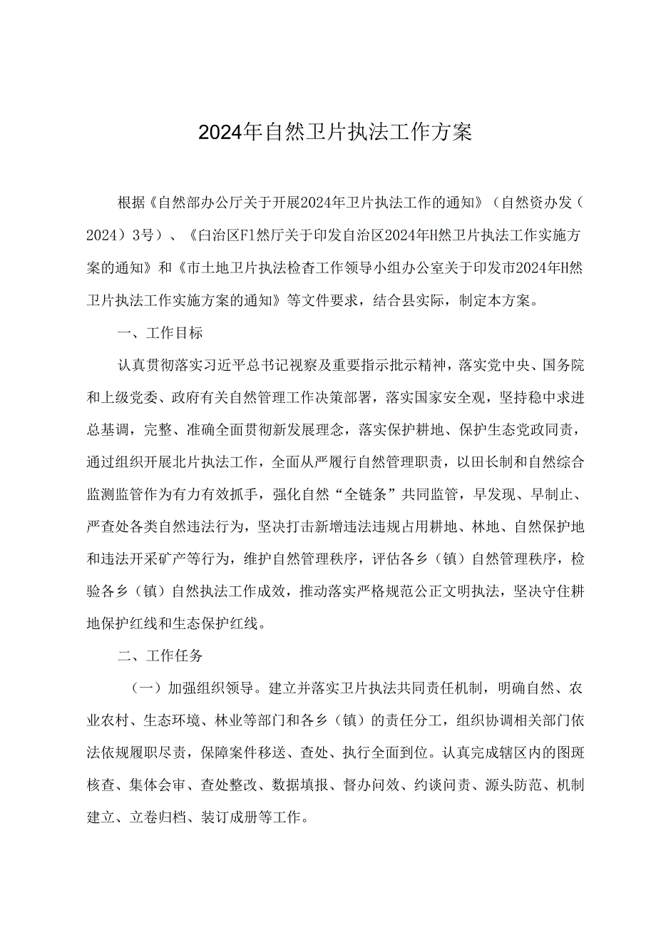 2024年自然卫片执法工作方案.docx_第1页