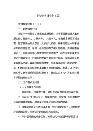 中班教学计划14篇.docx