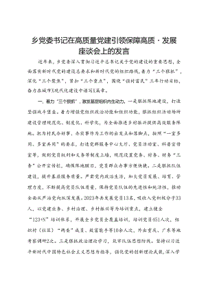 乡党委书记在高质量党建引领保障高质量发展座谈会上的发言.docx