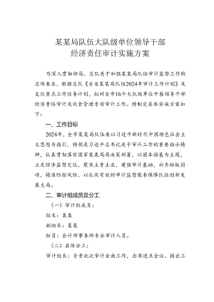 某某局队伍大队级单位领导干部经济责任审计实施方案.docx