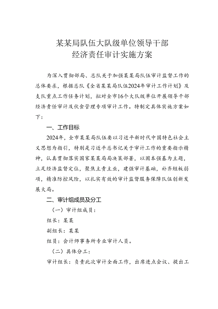 某某局队伍大队级单位领导干部经济责任审计实施方案.docx_第1页