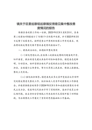 镇关于区委巡察组巡察镇反馈意见集中整改进展情况的报告.docx