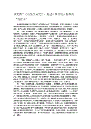 镇党委书记经验交流发言：党建引领绘就乡村振兴“新蓝图”.docx