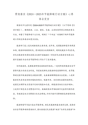 贯彻落实《2024—2025年节能降碳行动方案》心得体会发言.docx