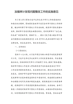 加强审计发现问题整改工作的实施意见.docx