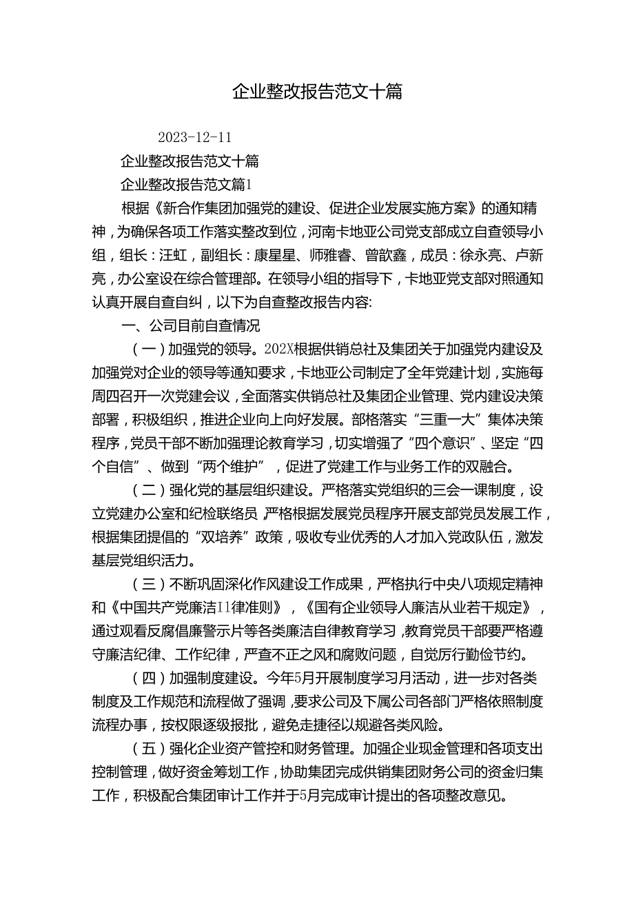 企业整改报告范文十篇.docx_第1页