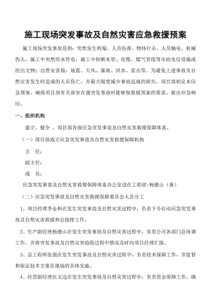 施工现场突发事故及自然灾害应急救援预案.doc