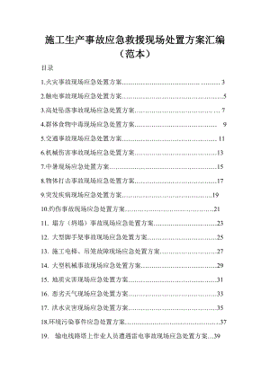 施工生产各类事故应急救援现场处置方案汇编.doc