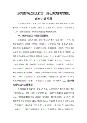 乡党委书记交流发言：凝心聚力抓党建+砥砺奋进促发展.docx