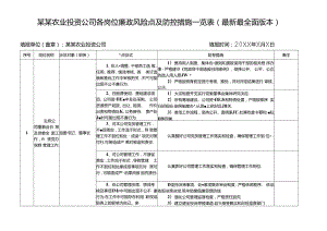 某某农业投资公司各岗位廉政风险点及防控措施一览表（最新最全面版本）.docx