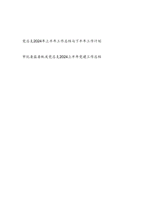 2024年上半年党总支工作总结与下半年工作计划和上半年党建工作总结.docx