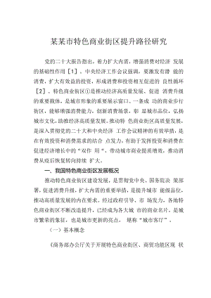 某某市特色商业街区提升路径研究.docx