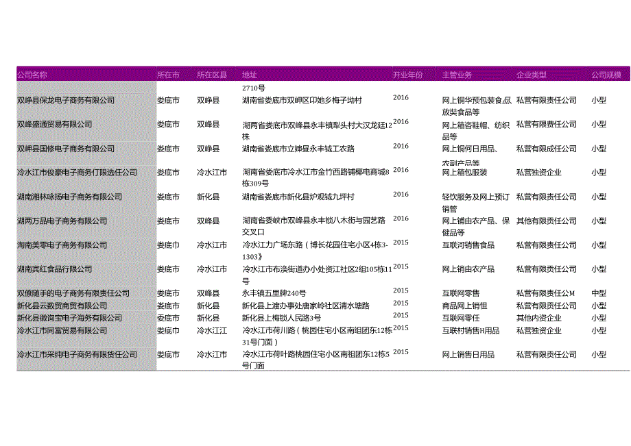 娄底市电子商务公司名录2018版195家.docx_第3页