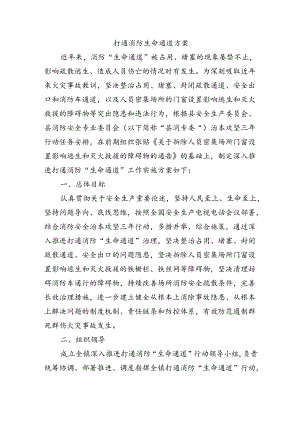 打通消防生命通道方案.docx