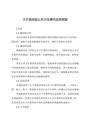 大宁县突发公共卫生事件应急预案.docx