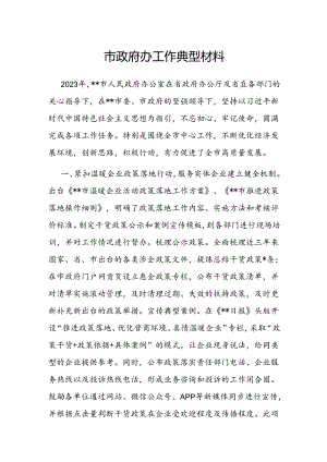 经验做法：工作典型材料（政府办）.docx