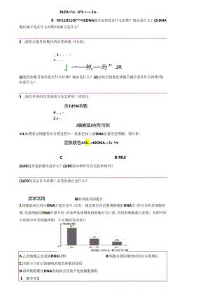 6.1.2 动植物细胞有丝分裂的区别和观察有丝分裂实验.docx