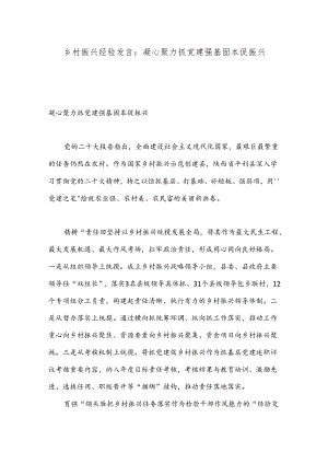 乡村振兴经验发言：凝心聚力抓党建 强基固本促振兴.docx