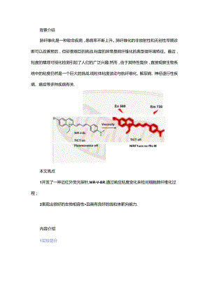 新型近红外荧光探针成像细胞肺纤维化过程粘度变化.docx