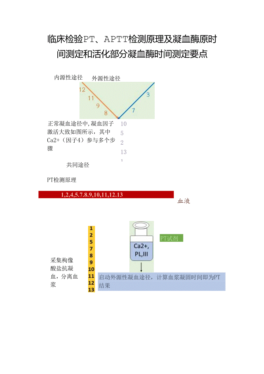 临床检验PT、APTT检测原理及凝血酶原时间测定和活化部分凝血酶时间测定要点.docx_第1页