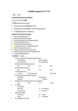 Unit 8 Grammar课时训练.docx