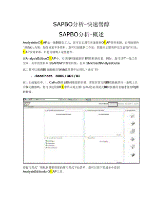 SAP BO分析 - 快速向导.docx