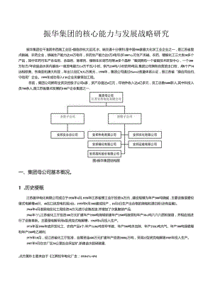 某集团的核心能力与发展战略研究.docx