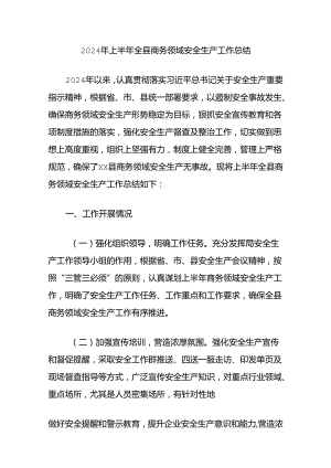 2024年上半年全县商务领域安全生产工作总结.docx