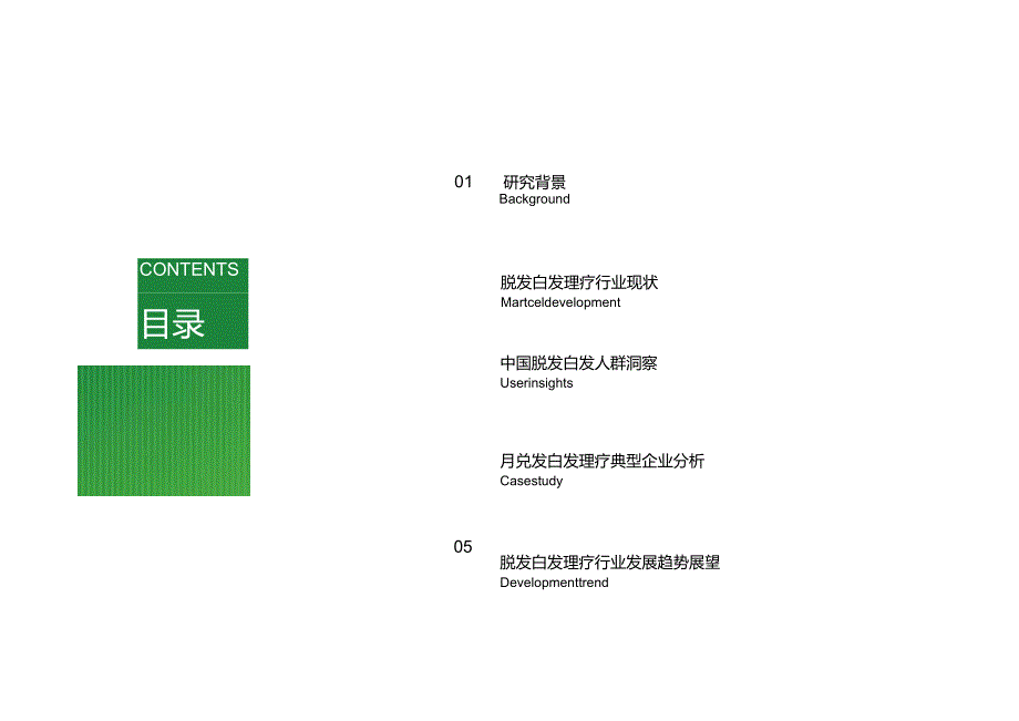 2024年中国脱发白发理疗产业洞察报告.docx_第1页