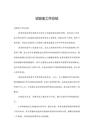 试验室工作总结.docx