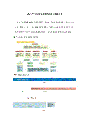 2024产科急危重症抢救流程图（附图表）.docx