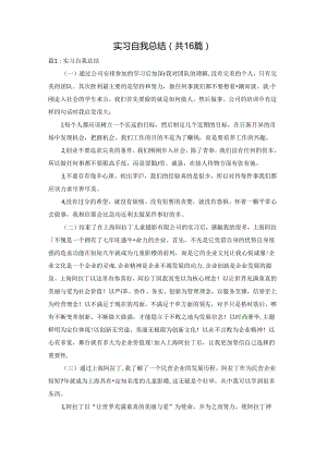 实习自我总结（共16篇）.docx