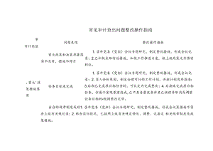 常见审计查出问题整改操作指南.docx