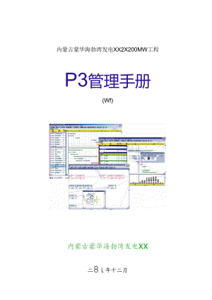 某集团发电工程P3管理手册.docx