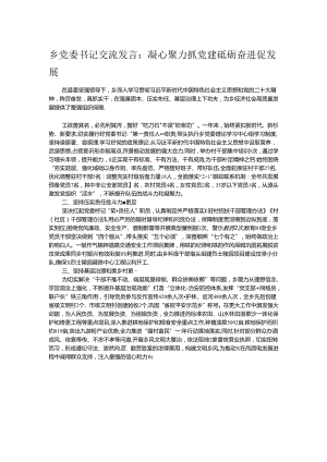 乡党委书记交流发言：凝心聚力抓党建 砥砺奋进促发展.docx