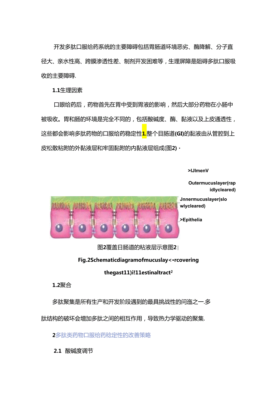 多肽药物口服给药稳定性研究进展.docx_第2页