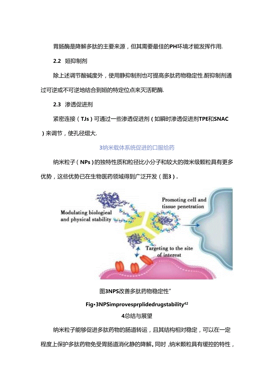 多肽药物口服给药稳定性研究进展.docx_第3页