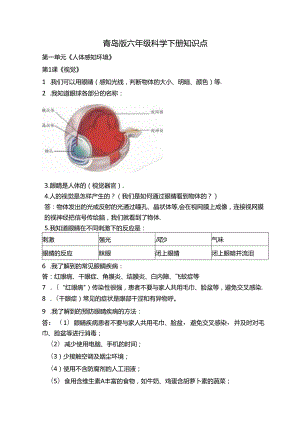 全册知识点（素材）六年级上册科学青岛版.docx