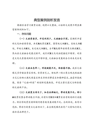 文旅领域典型案例剖析发言.docx