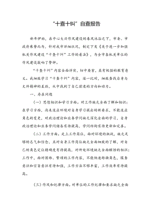 “十查十纠”自查报告.docx