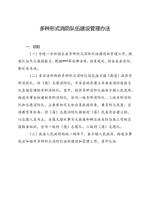 多种形式消防队伍建设管理办法.docx