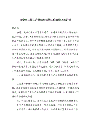 2篇 2024年在全市三夏生产暨秸秆禁烧工作会议上的讲话.docx