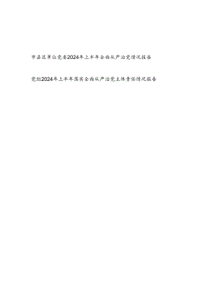 2024年上半年全面从严治党情况报告和党组2024年上半年落实全面从严治党主体责任情况报告.docx