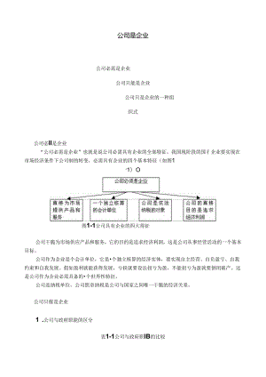 MBA全景教程之五公司理论与实务.docx