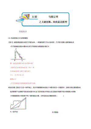 模型47 勾股定理之大树折断、风吹荷花模型（解析版）.docx