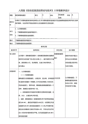 人民版综合实践活动劳动与技术八上 3.4 樱桃番茄 教学设计.docx