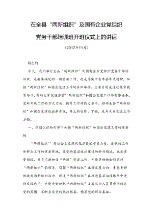 在全县“两新组织”及国有企业党组织党务干部培训班开班仪式上的讲话.docx