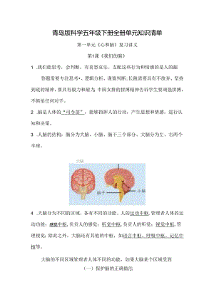 青岛版科学五年级下册全册单元知识清单.docx